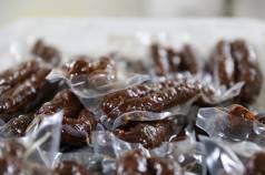 Mini 13